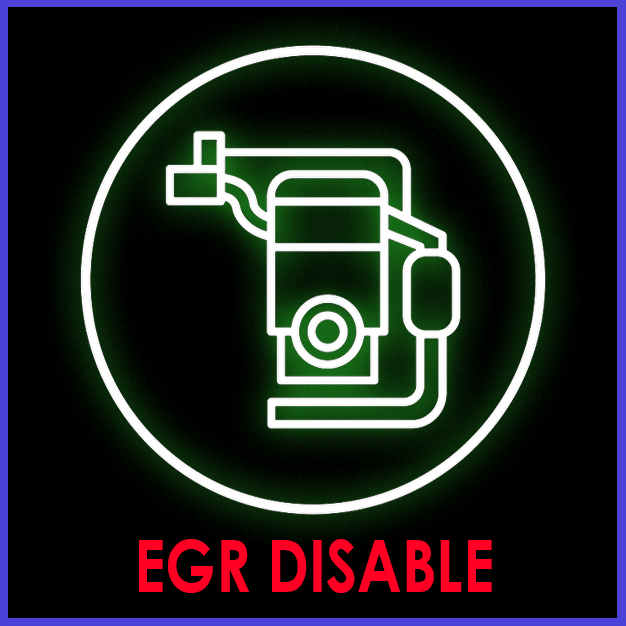 EGR Disable